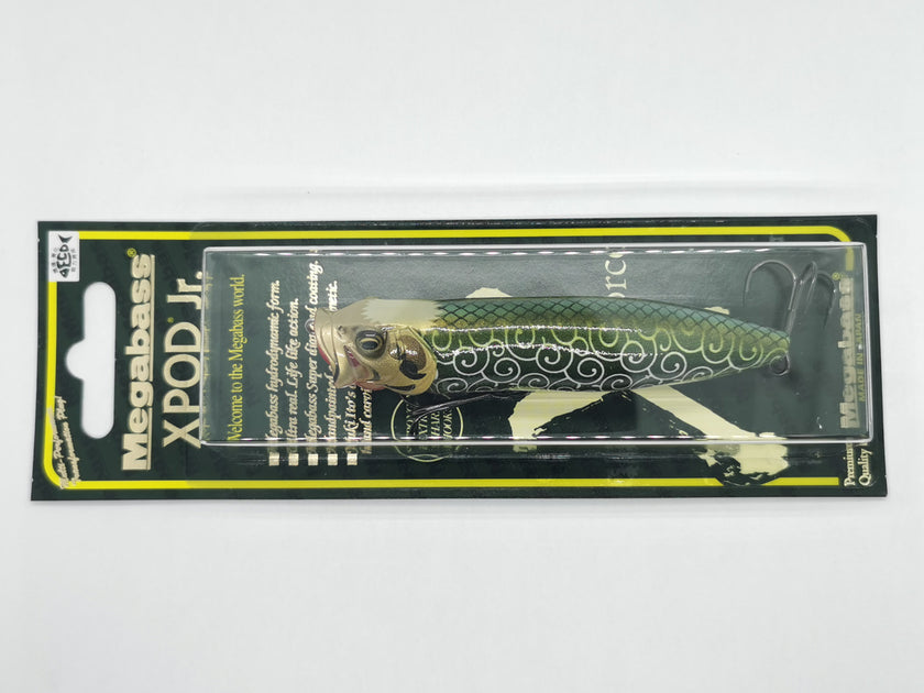 IMG_20210201_180304_1200x630.