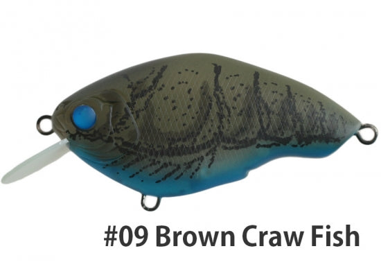 Brown Craw Fish